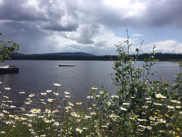 rosmarienormanlake4