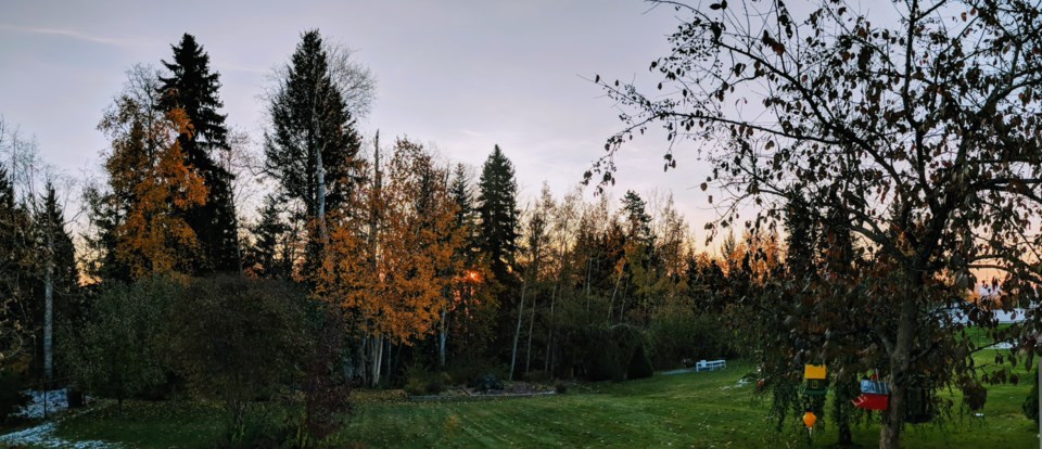 Helen Tabora - Oct. 10, 2019 Westmount Drive