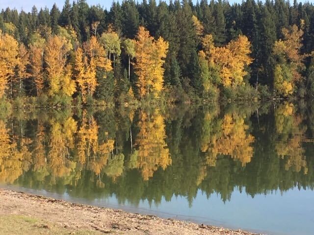 Rosmarie Vonah - Oct. 3, 2020 fall sun at the lake