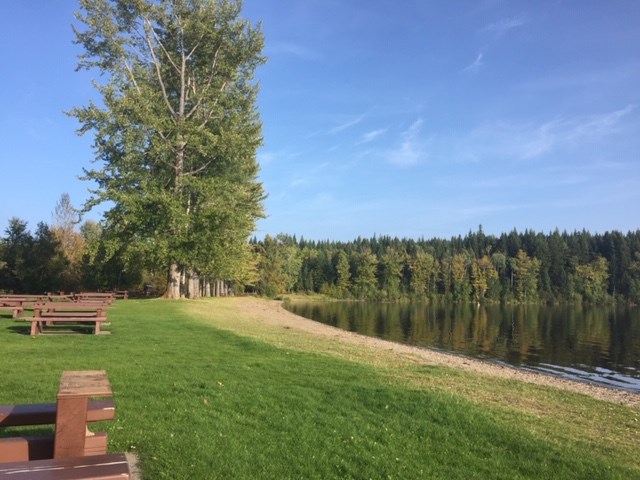 Rosmarie Vonah - Sept. 17, 2020 West Lake in the fall