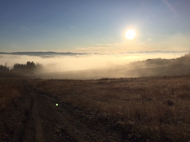 rosmarieoct2019