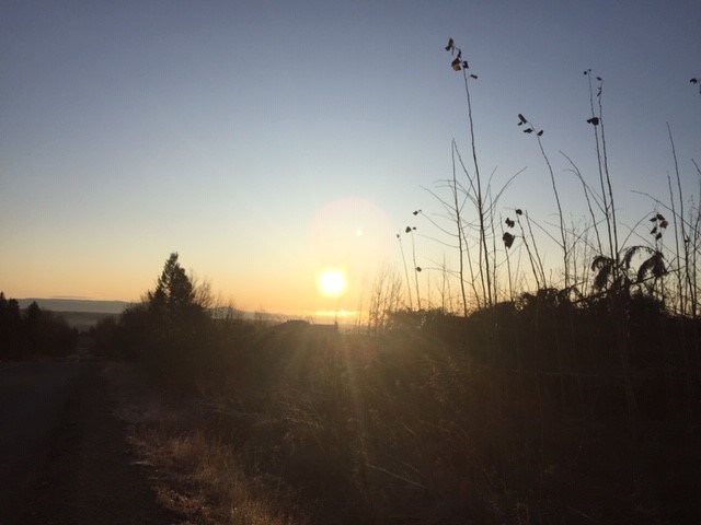sunrise