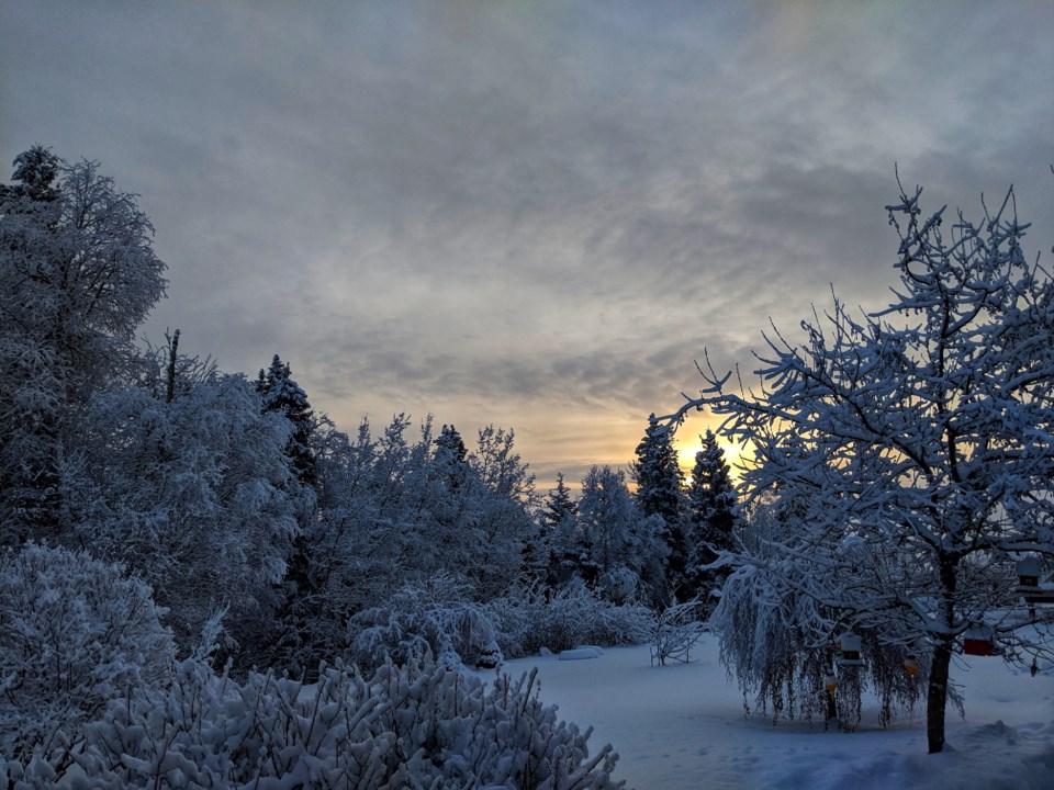 IMG_20190105_091326-01