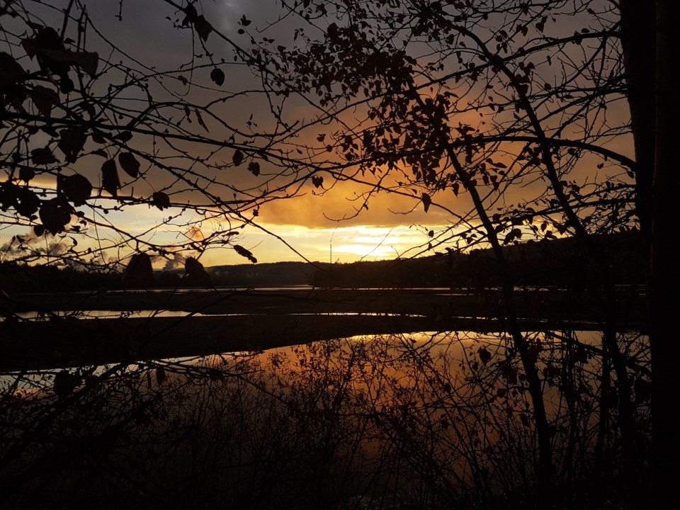 melonie sunrise