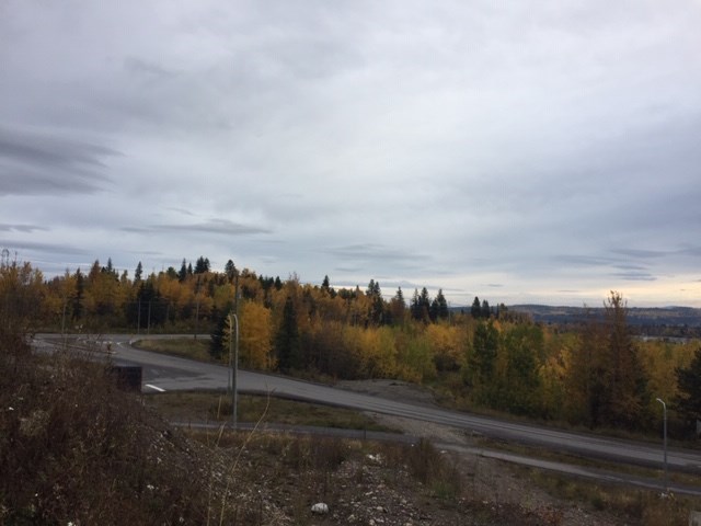 Rosmarie Vonah - Oct. 4, 2020 grey fall skies