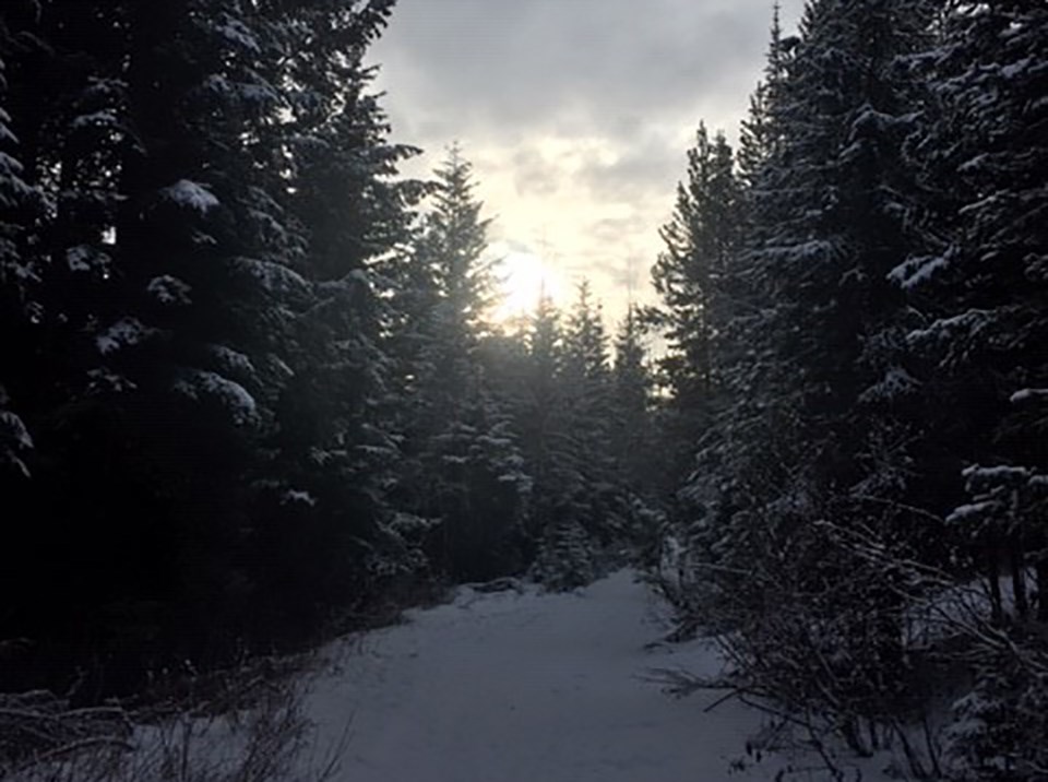 RosmarieDec27-2