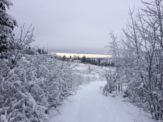 rosmariedec9-2