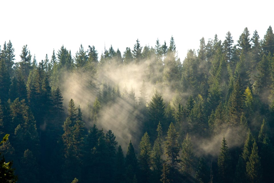 shutterstock_223021999