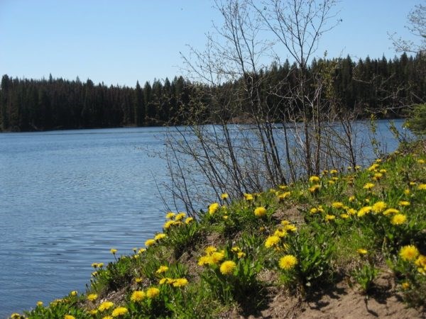 Berman Lake - Prince George