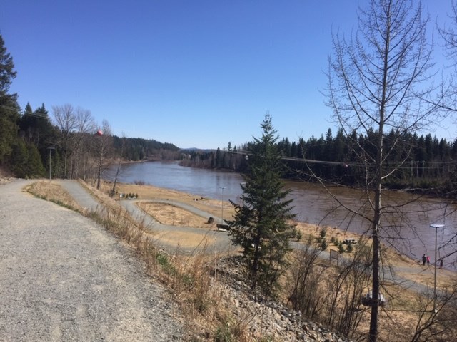 Rosmarie Vonah - April 18, 2021 Nechako Riverside Park in the spring