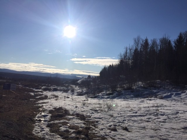 Rosmarie Vonah - April 8, 2021 sun snow trees spring