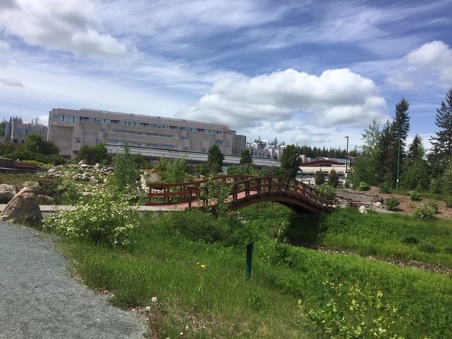 Rosmarie Vonah - June 1, 2020 UNBC clouds