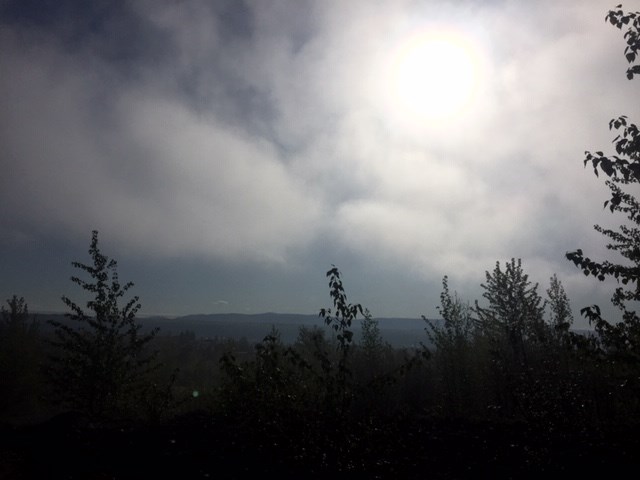 Rosmarie Vonah - May 19, 2020 foggy morning