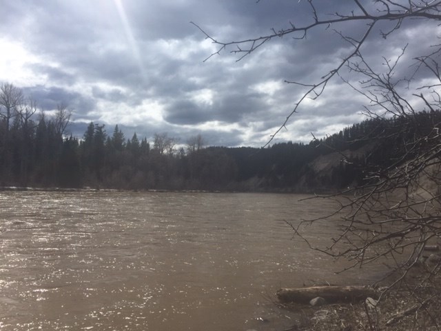 Rosmarie Vonah - May 3, 2020 lakeside