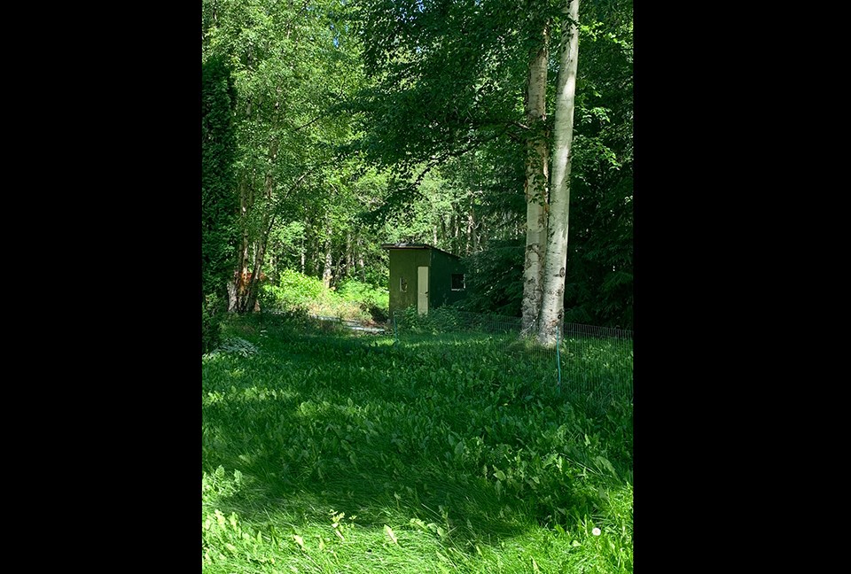 Tracey Johnson - Painting shed July 26, 2020