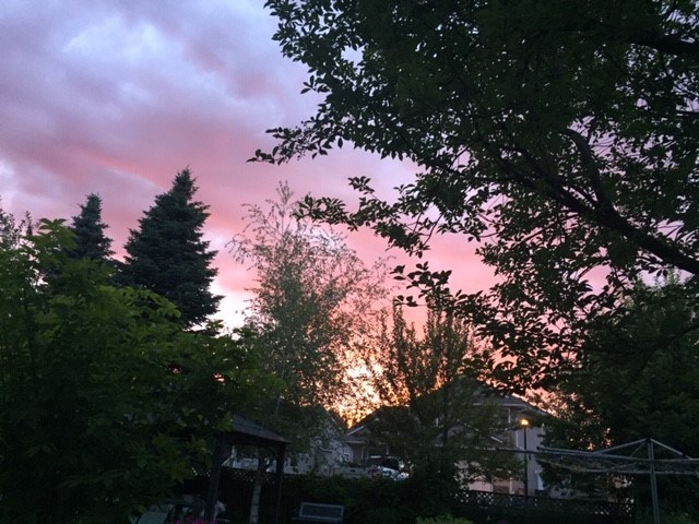 Rosmarie Sunset