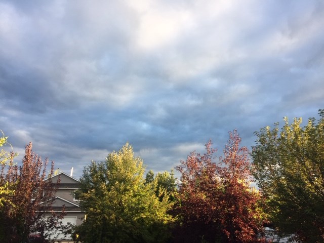 Rosmarie Vonah - Aug. 25, 2020 blue sky with clouds