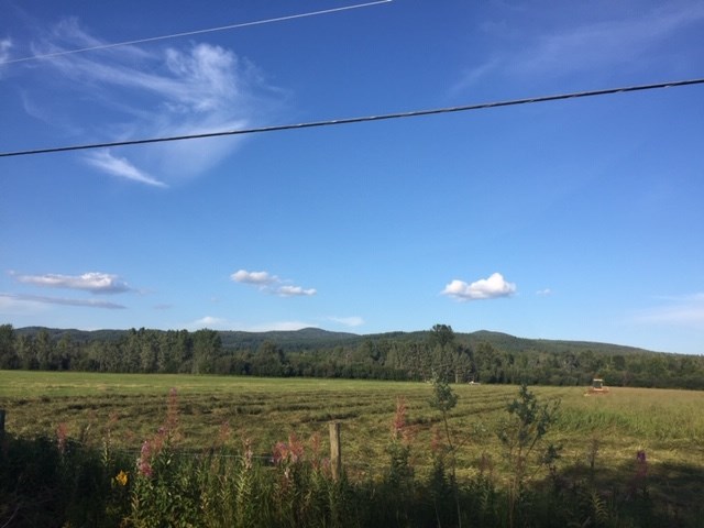 Rosmarie Vonah - Aug. 7, 2019 farmland