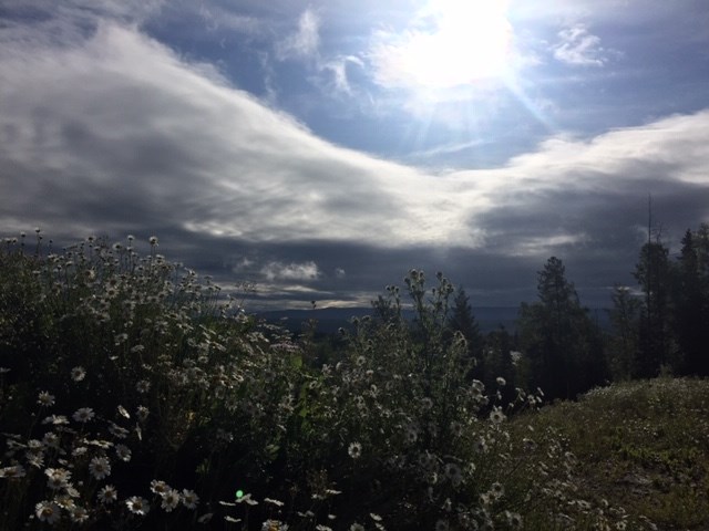 Rosmarie Vonah - July 12, 2020 sun peaking through