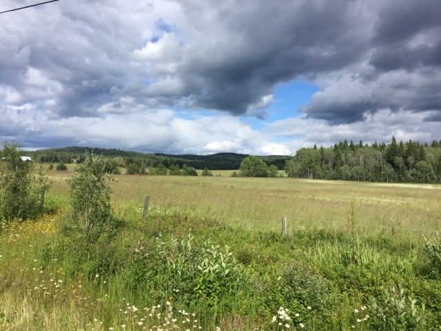 Rosmarie Vonah - July 17, 2020 sunny farm fields