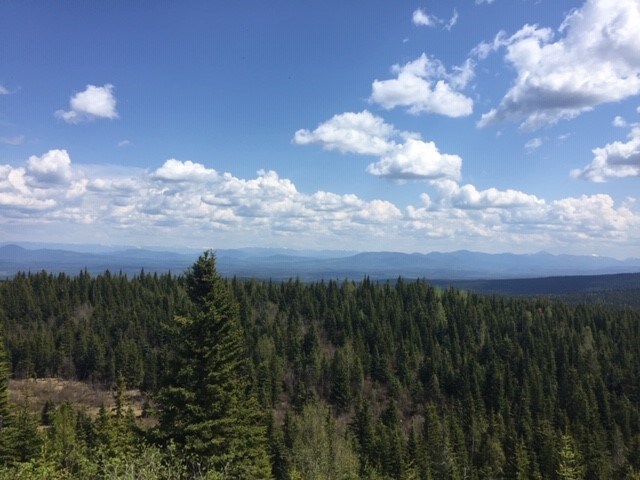 Tabor Mountain 1