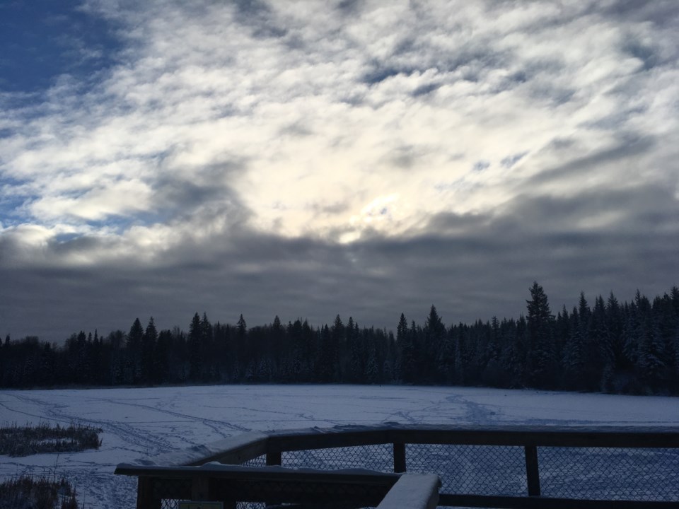 Forests for the World icy lake cold