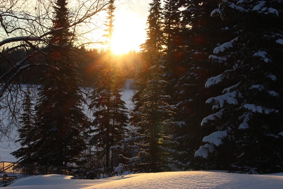 Grace Dyer - Feb. 18, 2021 winter morning sunrise