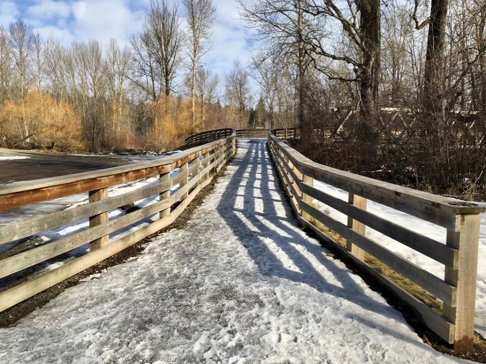 Grace Dyer - Marc 10, 2021 Cottonwood Island Park bridge Prince George winter sunny