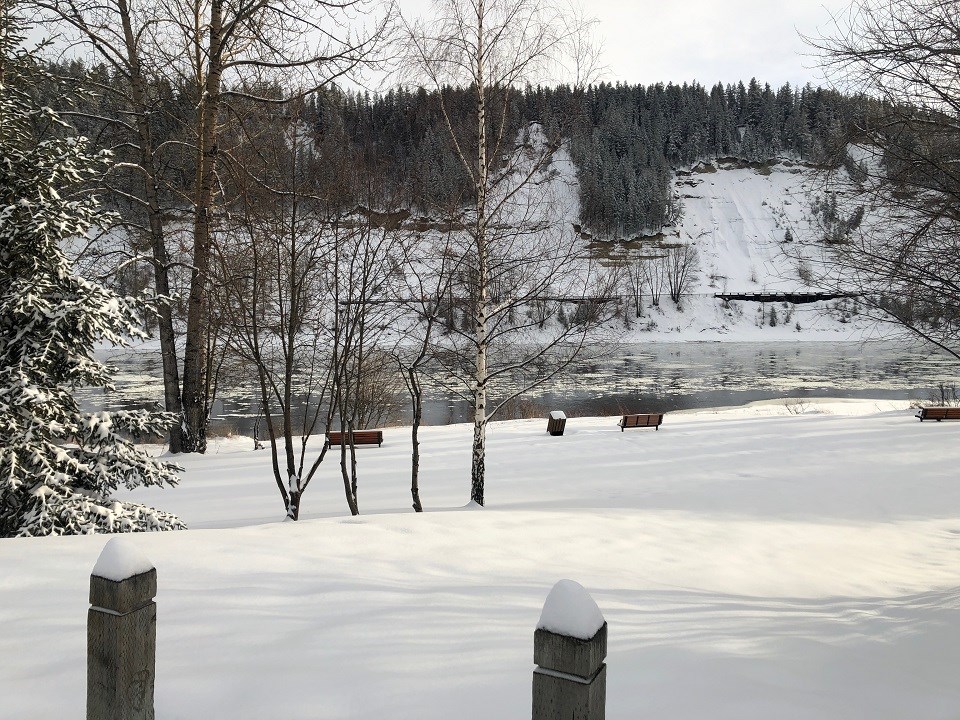 Hanna Petersen - Jan. 3, 2020 snowy park