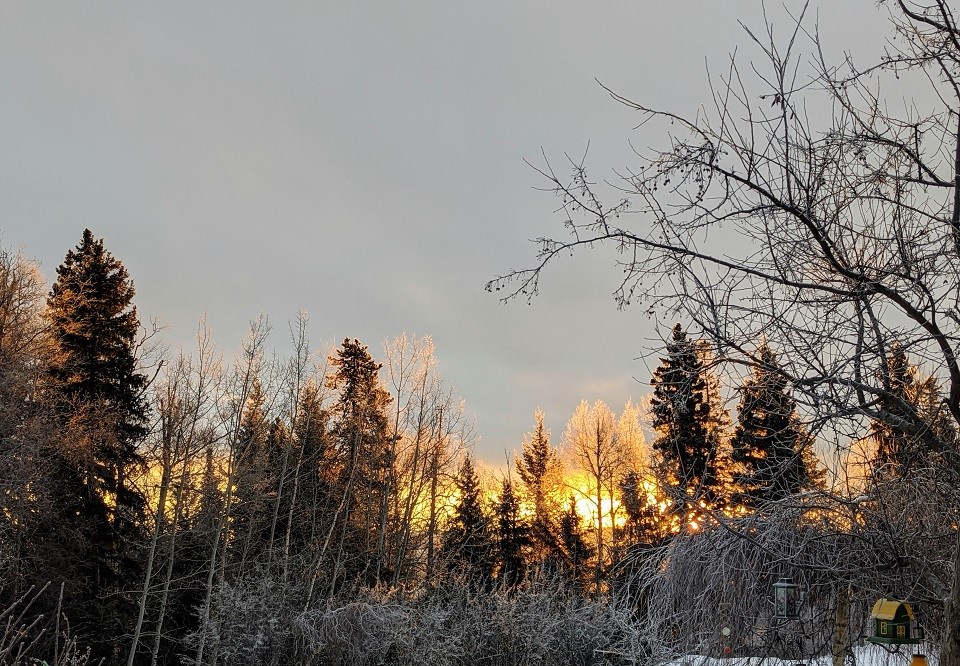 Helen Tabora - Dec. 26, 2019 winter Westmount sunrise