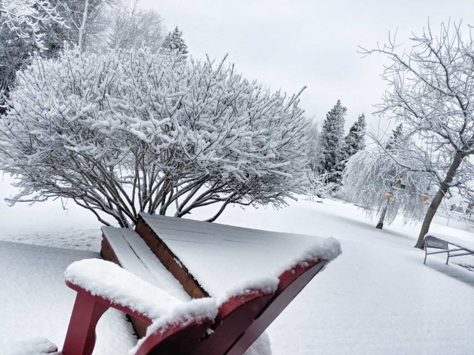 Helen Tabora - Westmount snow April 27 2019