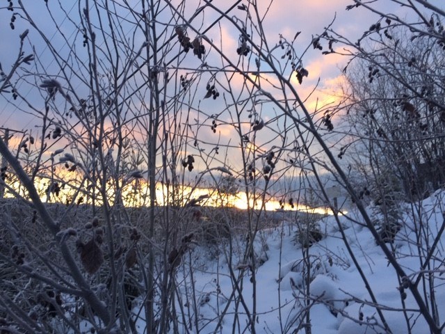 PG-winter