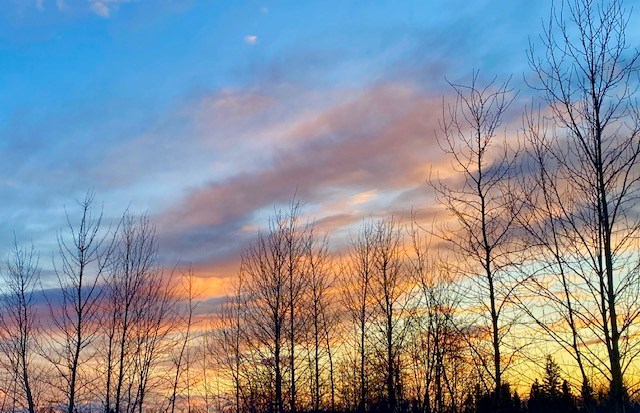 Pressy Joy - Feb. 26, 2021 blue winter night orange sky