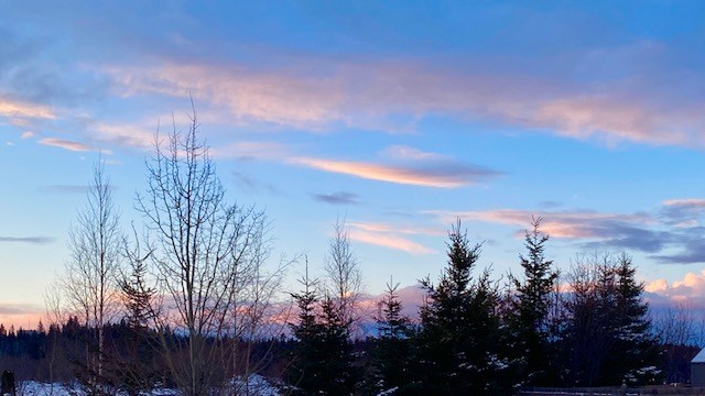 Pressy Joy - Feb. 26, 2021 blue winter sunset night sky orange
