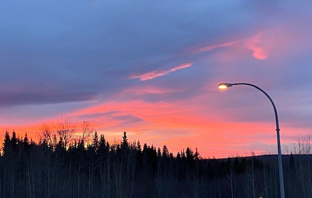 Pressy Joy - Jan. 10, 2020 bright winter morning