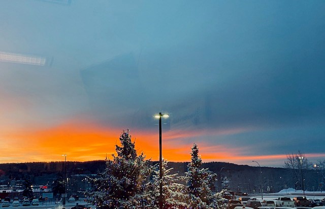 Pressy Joy - Jan. 10, 2021 blue orange winter morning tree lights