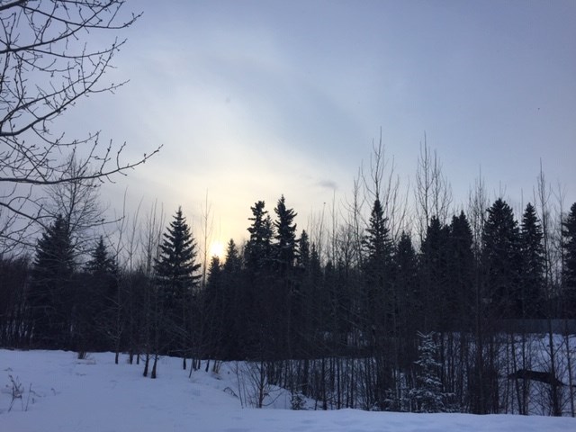 Rosmarie Vonah - Jan. 26, 2021 sun through cloudy skies snow