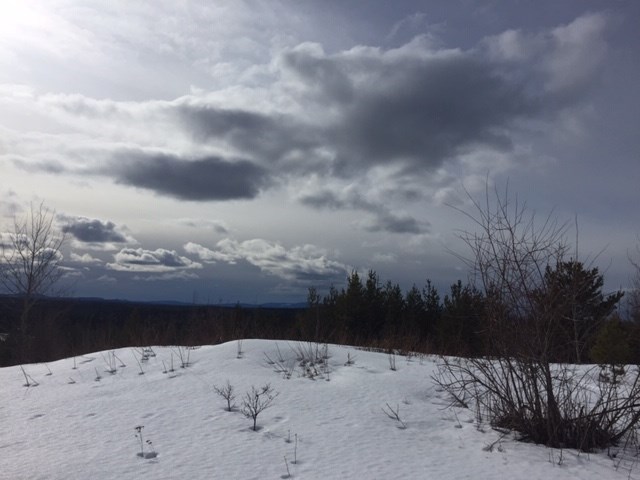 Rosmarie Vonah - March 7, 2021 winter sun snow clouds cloudy