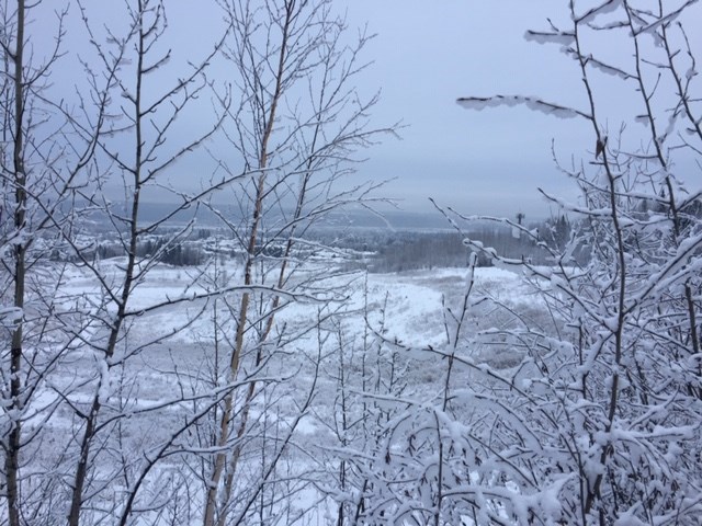 Rosmarie Vonah - Dec. 6, 2019 snowy landscape