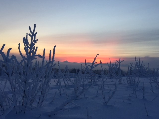Rosmarie Vonah - Feb 16 2019 sunrise
