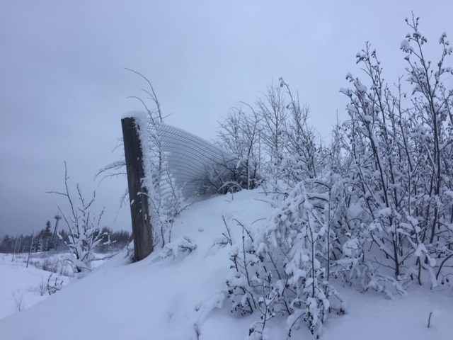 Rosmarie Vonah - Feb. 29, 2020 snow fence