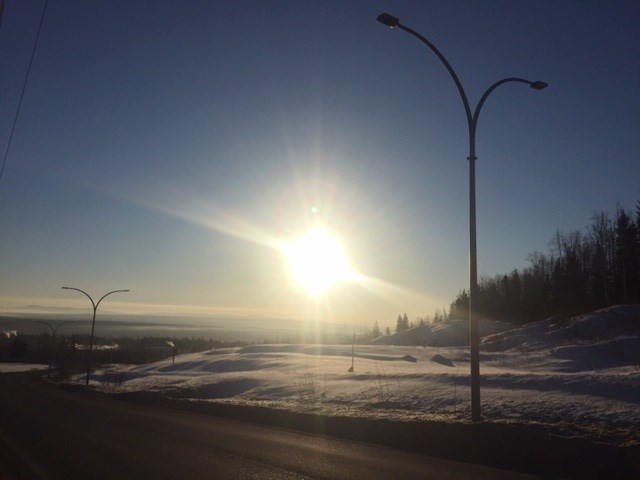 Rosmarie Vonah - March 15, 2020 sun street