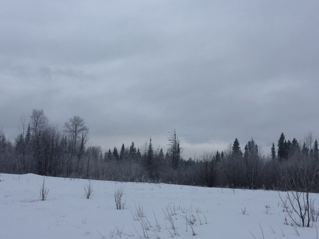 Rosmarie Vonah - March 29, 2020 snowy hill