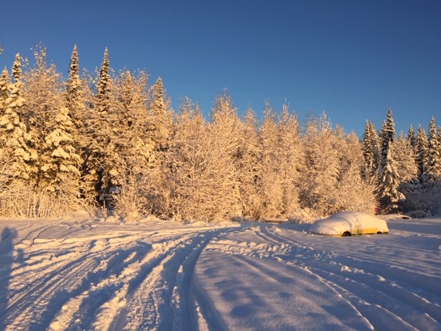 Rosmarie Vonah - Nov. 28, 2020 snow-covered vehicle sun