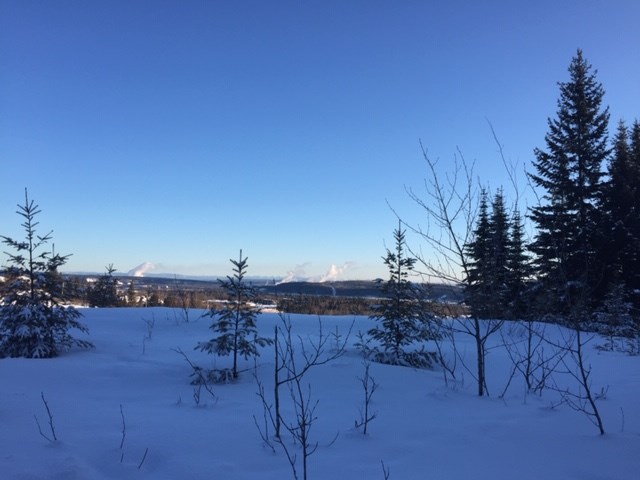 Rosmarie Vonah - Sunshine snow winter sun Dec. 22, 2020