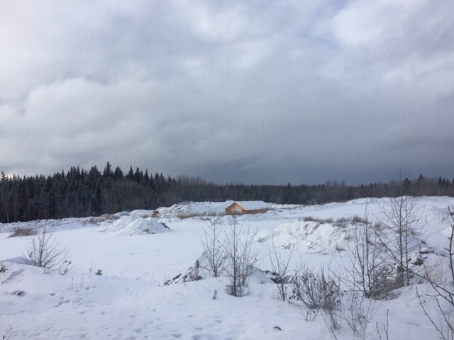 RosmarieDec27