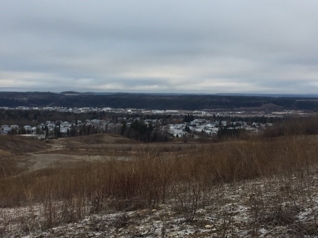 Snow on landscape - Nov. 19, 2019