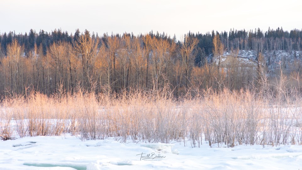Winter-MorningTerrillBodner