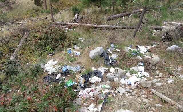 BCCOS garbage Lake Okanagan bears