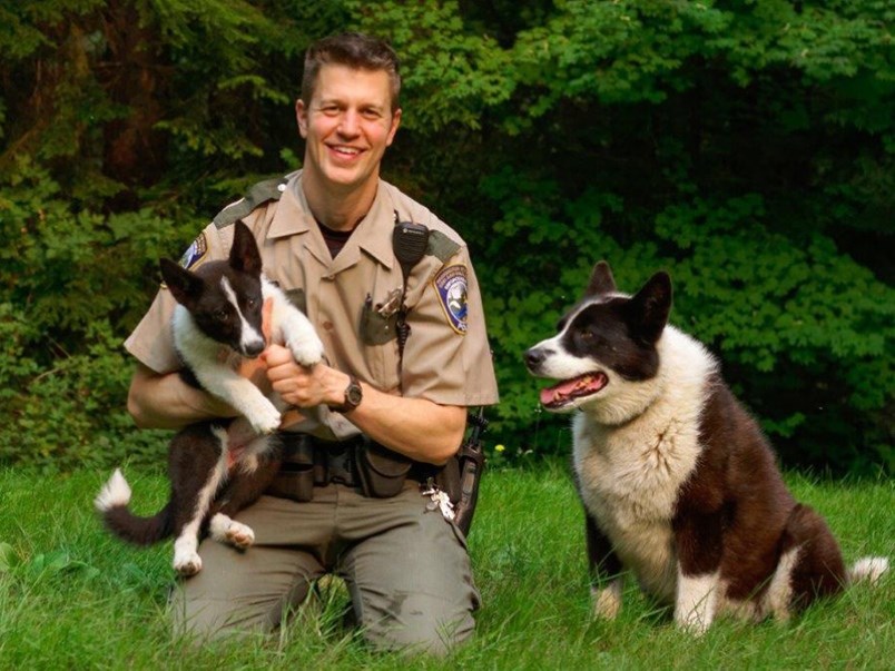 Bear dogs